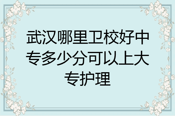 武汉哪里卫校好中专多少分可以上大专护理