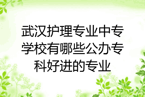 武汉护理专业中专学校有哪些公办专科好进的专业