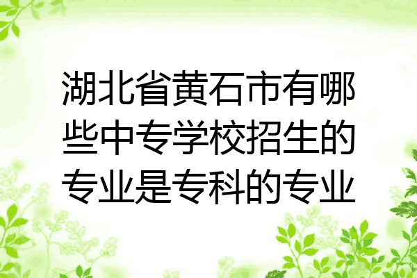 湖北省黄石市有哪些中专学校招生的专业是专科的专业