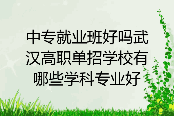 中专就业班好吗武汉高职单招学校有哪些学科专业好
