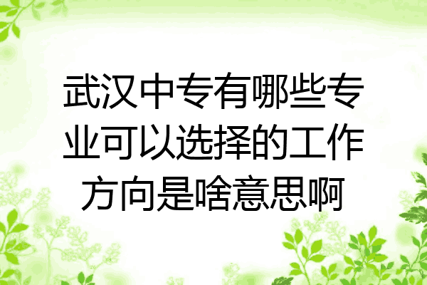 武汉中专有哪些专业可以选择的工作方向是啥意思啊