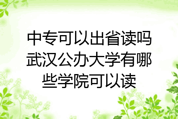 中专可以出省读吗武汉公办大学有哪些学院可以读