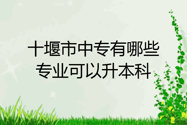 十堰市中专有哪些专业可以升本科