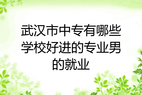 武汉市中专有哪些学校好进的专业男的就业