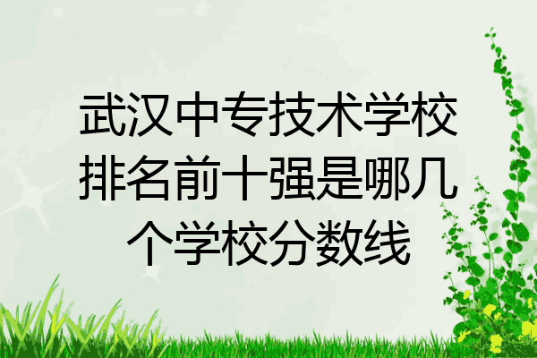 武汉中专技术学校排名前十强是哪几个学校分数线