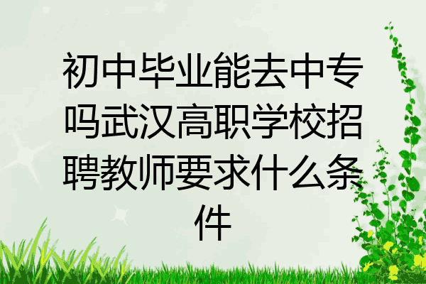 初中毕业能去中专吗武汉高职学校招聘教师要求什么条件