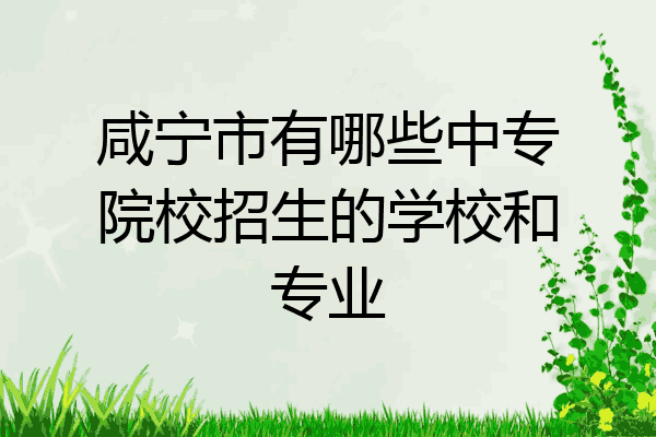 咸宁市有哪些中专院校招生的学校和专业