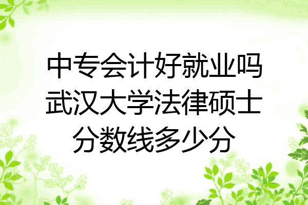 中专会计好就业吗武汉大学法律硕士分数线多少分