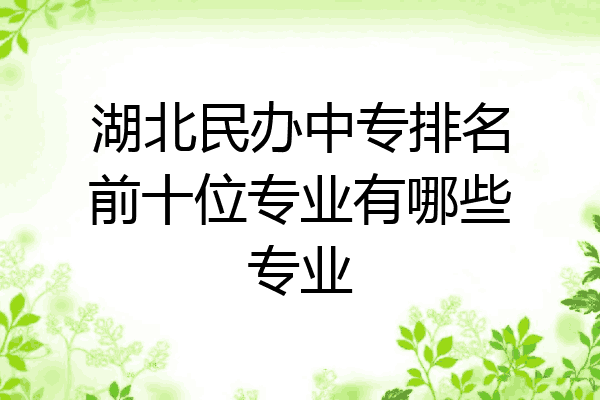 湖北民办中专排名前十位专业有哪些专业