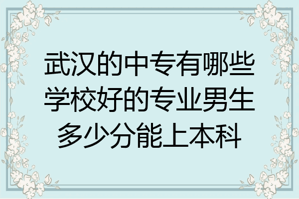 武汉的中专有哪些学校好的专业男生多少分能上本科