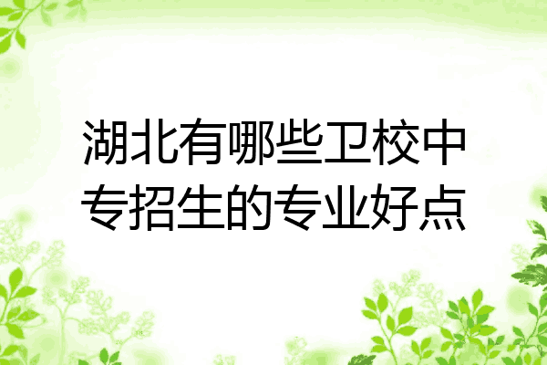 湖北有哪些卫校中专招生的专业好点