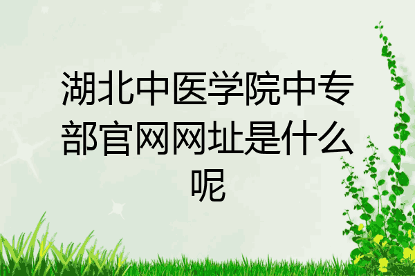 湖北中医学院中专部官网网址是什么呢