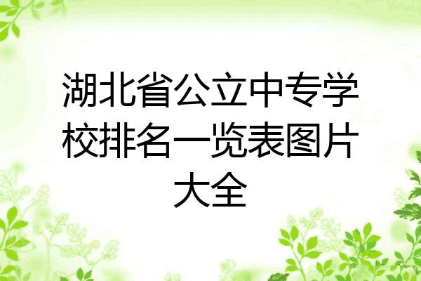 湖北省公立中专学校排名一览表图片大全