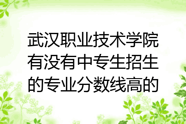 武汉职业技术学院有没有中专生招生的专业分数线高的