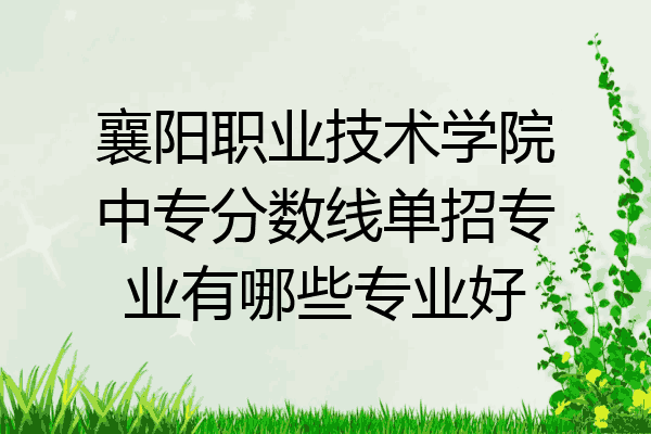 襄阳职业技术学院中专分数线单招专业有哪些专业好