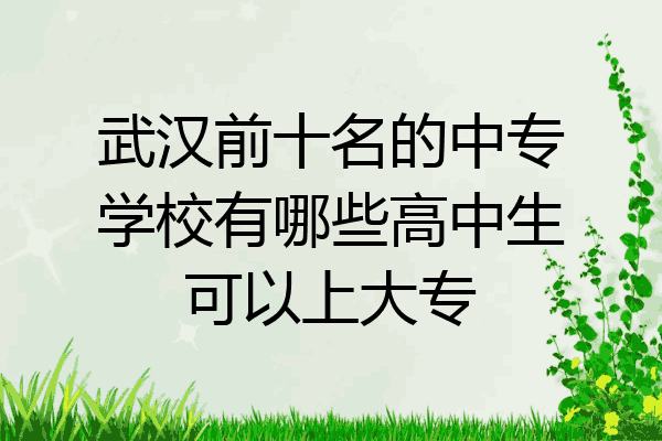 武汉前十名的中专学校有哪些高中生可以上大专