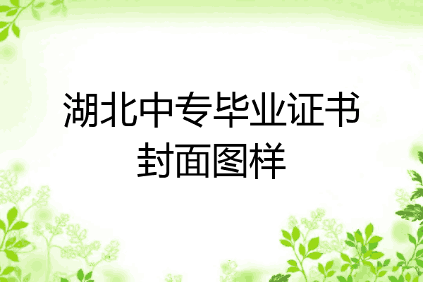 湖北中专毕业证书封面图样