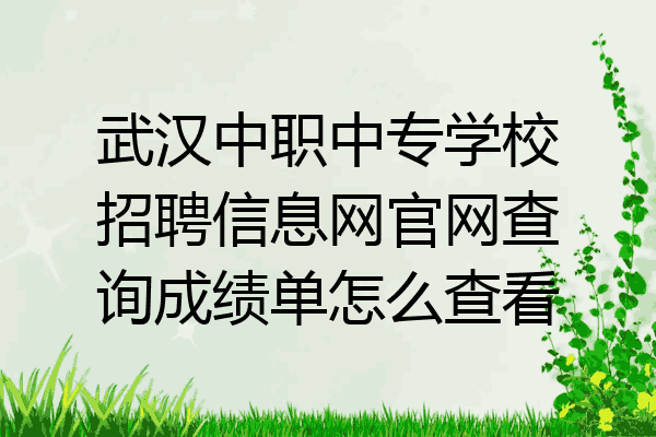 武汉中职中专学校招聘信息网官网查询成绩单怎么查看