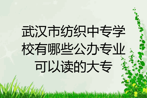 武汉市纺织中专学校有哪些公办专业可以读的大专