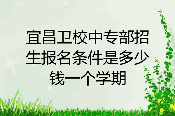 宜昌卫校中专部招生报名条件是多少钱一个学期
