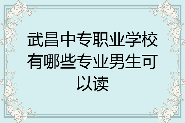 武昌中专职业学校有哪些专业男生可以读