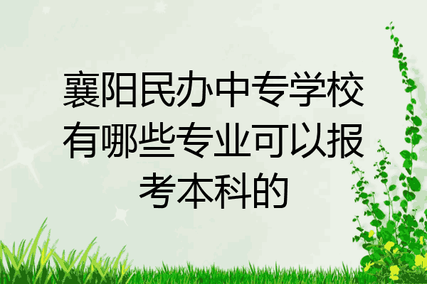 襄阳民办中专学校有哪些专业可以报考本科的