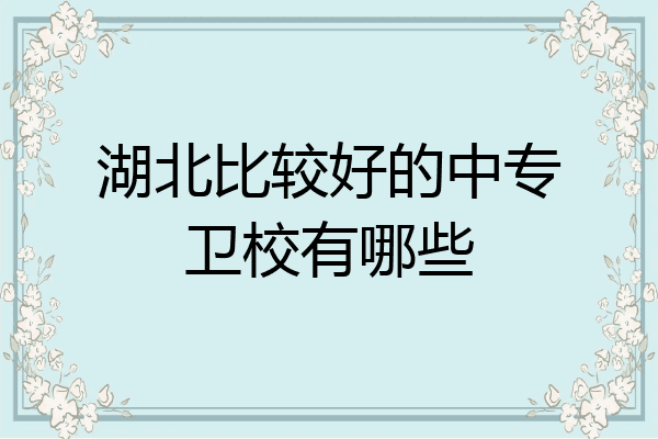湖北比较好的中专卫校有哪些
