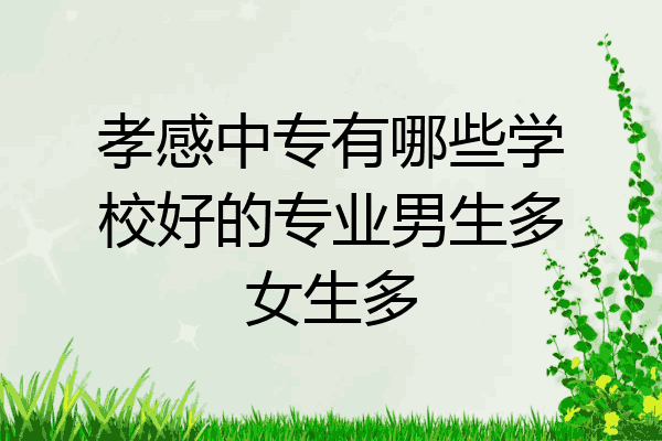 孝感中专有哪些学校好的专业男生多女生多