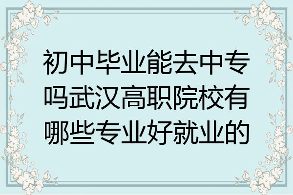 初中毕业能去中专吗武汉高职院校有哪些专业好就业的