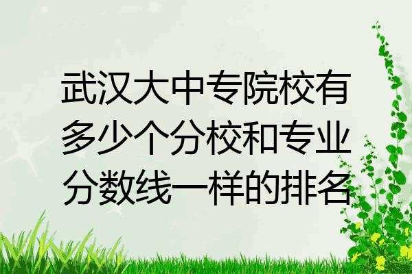 武汉大中专院校有多少个分校和专业分数线一样的排名