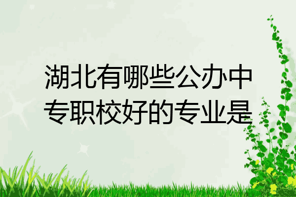 湖北有哪些公办中专职校好的专业是