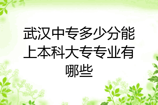 武汉中专多少分能上本科大专专业有哪些