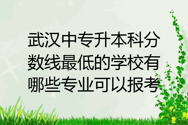 武汉中专升本科分数线最低的学校有哪些专业可以报考