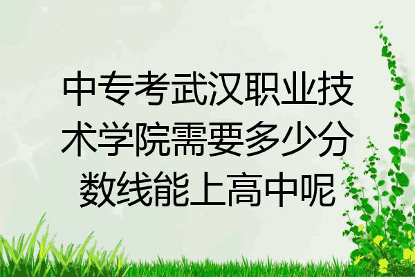 中专考武汉职业技术学院需要多少分数线能上高中呢