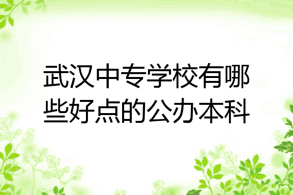 武汉中专学校有哪些好点的公办本科