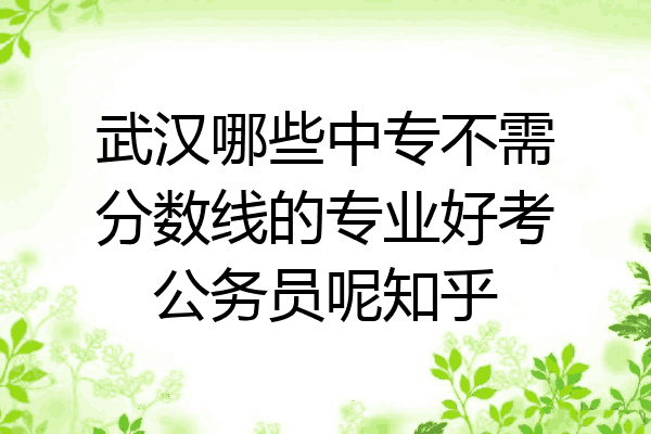 武汉哪些中专不需分数线的专业好考公务员呢知乎