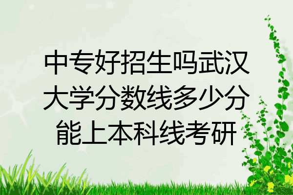 中专好招生吗武汉大学分数线多少分能上本科线考研