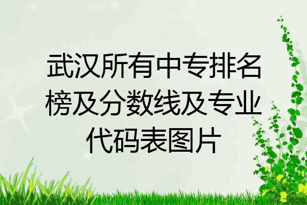 武汉所有中专排名榜及分数线及专业代码表图片