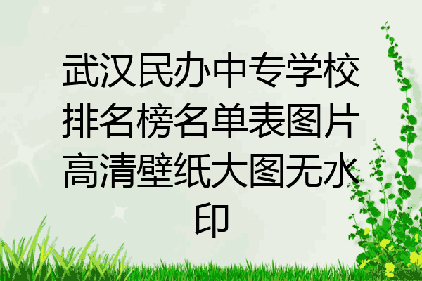 武汉民办中专学校排名榜名单表图片高清壁纸大图无水印