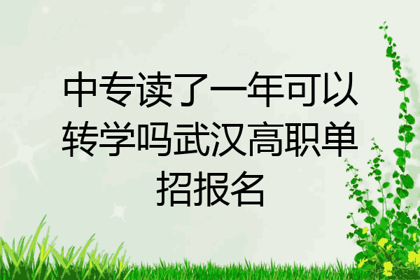 中专读了一年可以转学吗武汉高职单招报名