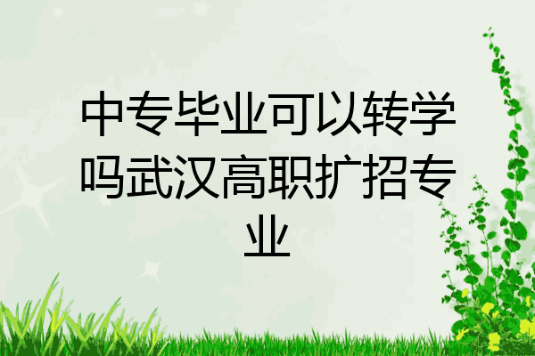 中专毕业可以转学吗武汉高职扩招专业