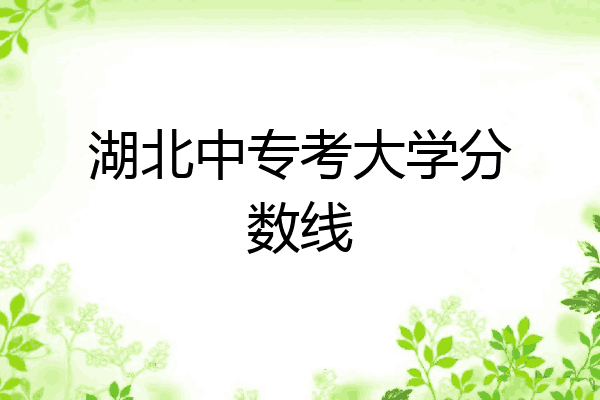 湖北中专考大学分数线
