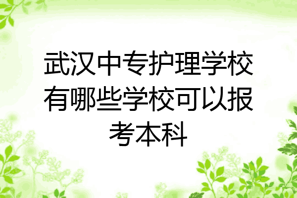武汉中专护理学校有哪些学校可以报考本科