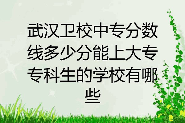 武汉卫校中专分数线多少分能上大专专科生的学校有哪些