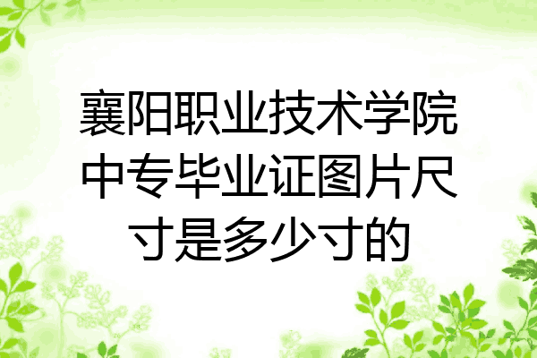 襄阳职业技术学院中专毕业证图片尺寸是多少寸的