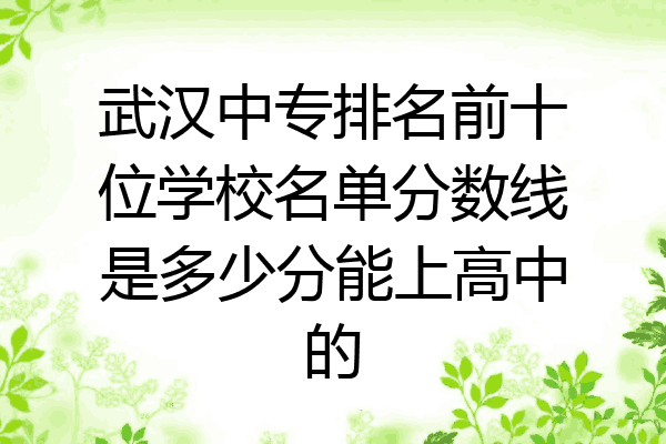 武汉中专排名前十位学校名单分数线是多少分能上高中的
