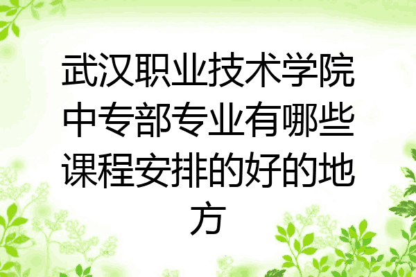 武汉职业技术学院中专部专业有哪些课程安排的好的地方