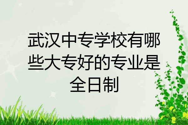 武汉中专学校有哪些大专好的专业是全日制