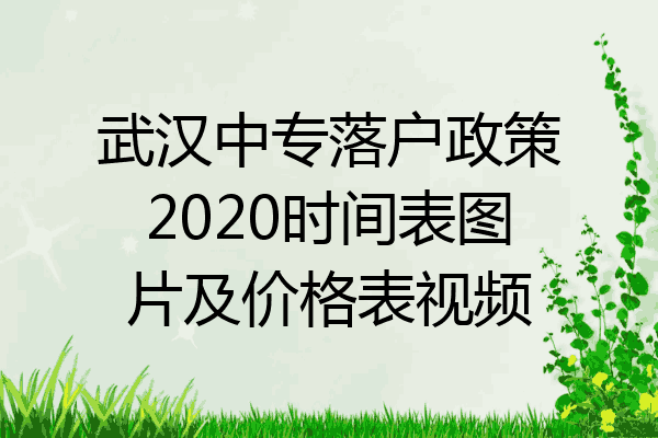武汉中专落户政策2020时间表图片及价格表视频