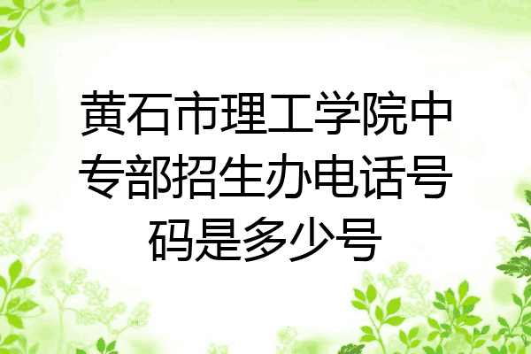 黄石市理工学院中专部招生办电话号码是多少号